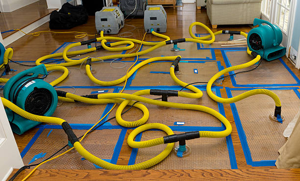 Professional Flood Damage Restoration technician working in New Munich, MN
